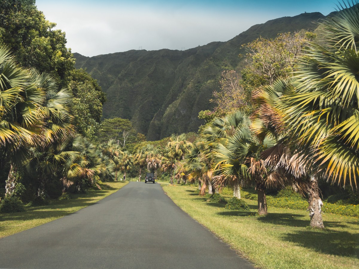 Oahu Hawaï: Ultieme gids voor activiteiten & bezienswaardigheden
