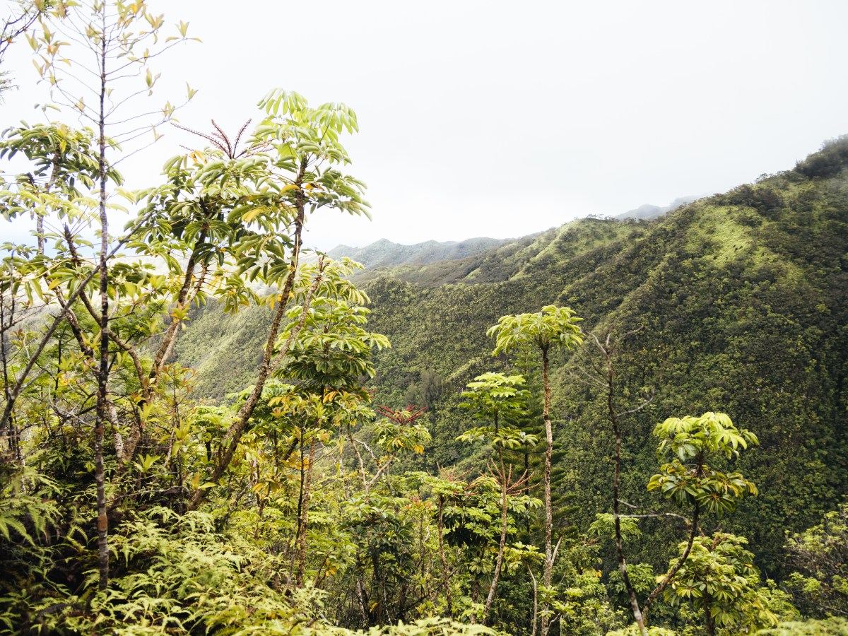 Beste reistijd Hawaï