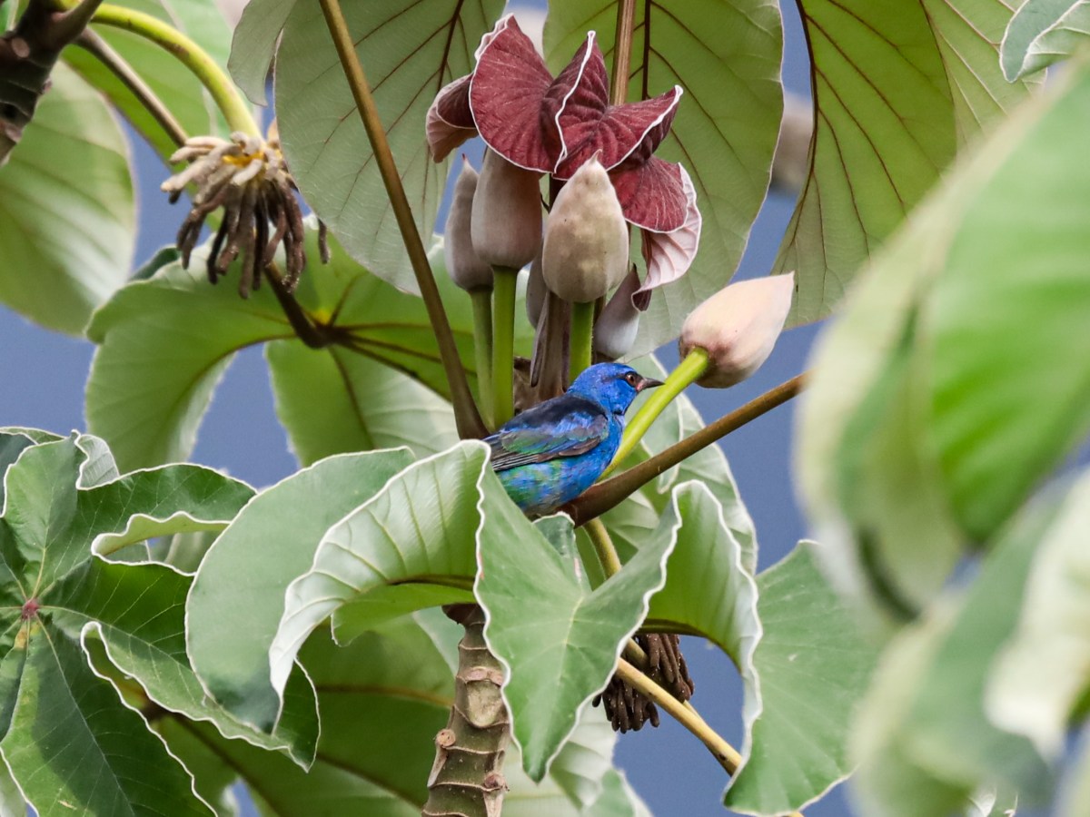 Ultieme reisroute Colombia +&nbsp;tips