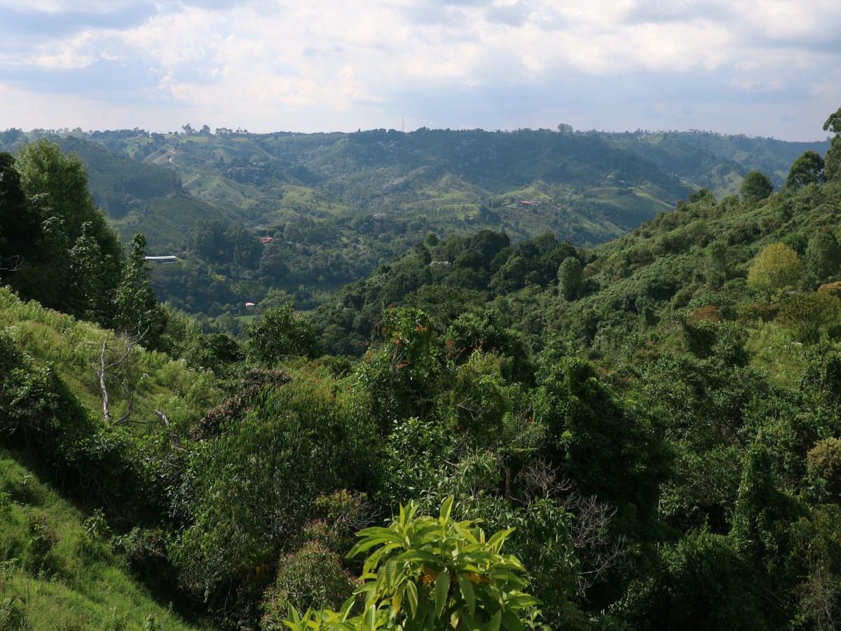 Beste reistijd Colombia