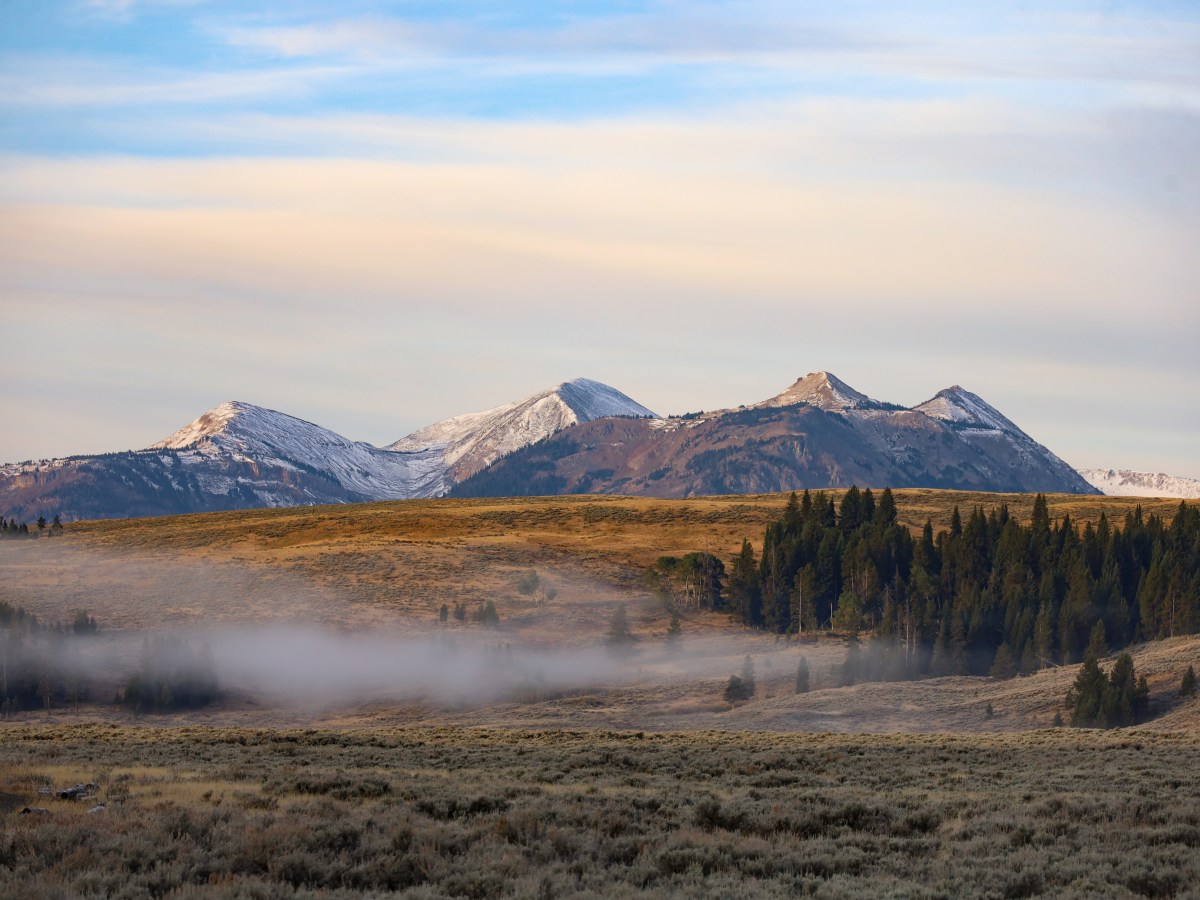 Yellowstone National Park: Ultieme gids voor activiteiten & bezienswaardigheden
