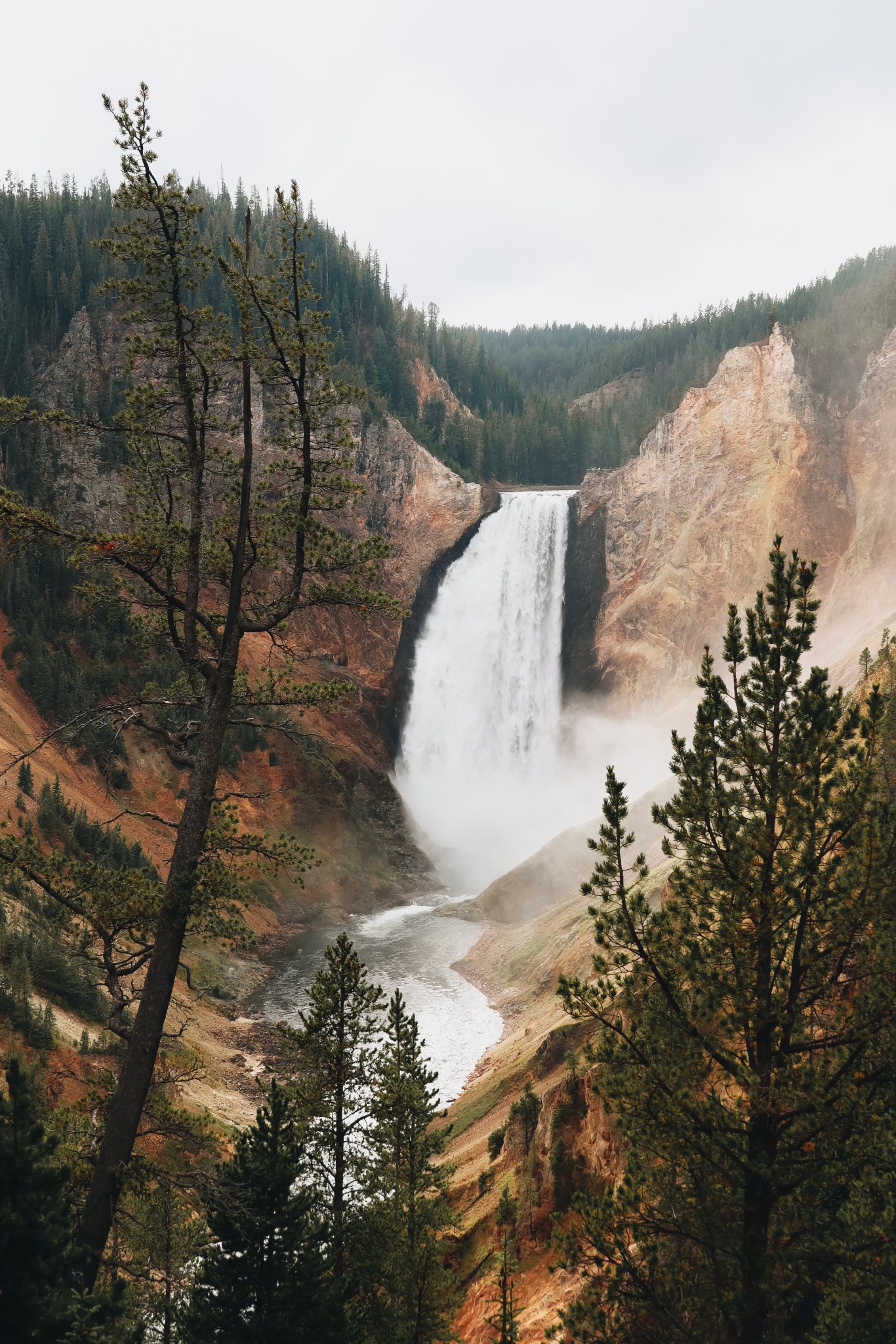 Yellowstone National Park: Ultieme gids voor activiteiten ...
