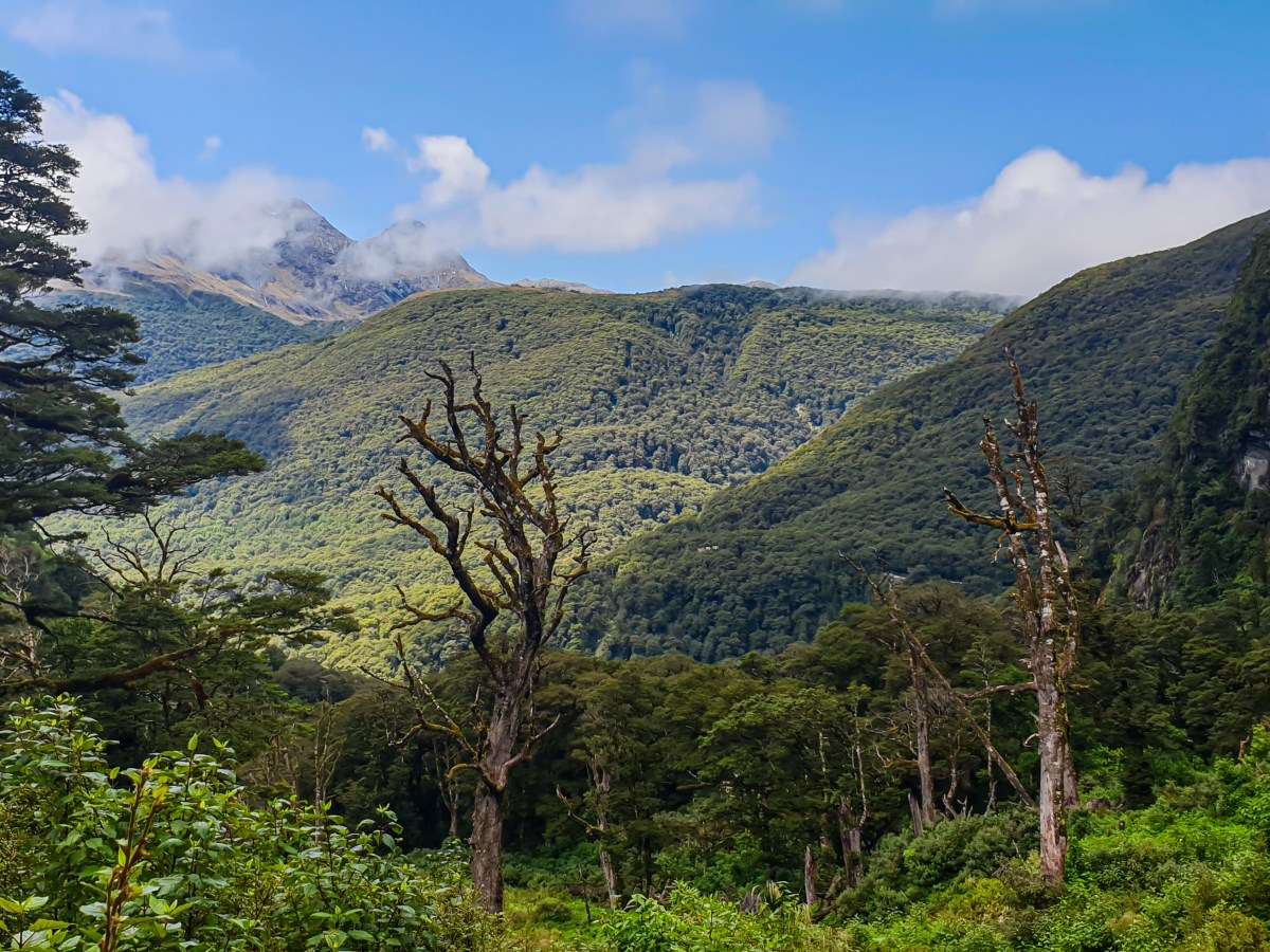 Beste reistijd Nieuw-Zeeland