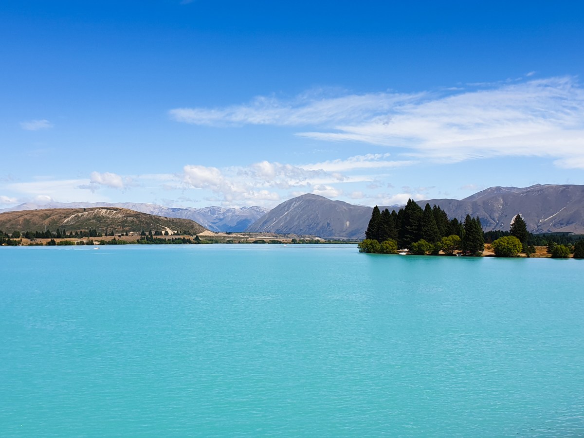 Noordereiland vs. Zuidereiland: Welke&nbsp;Kiezen?